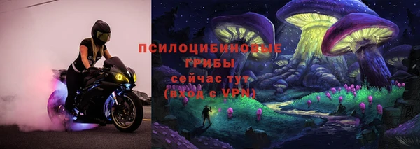стаф Липки