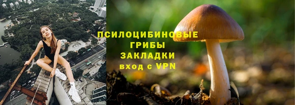 не бодяженный Магадан