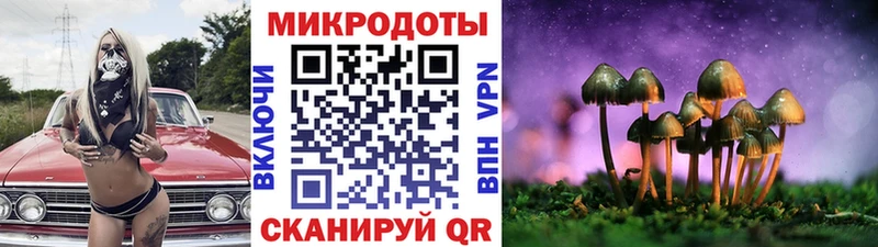 Галлюциногенные грибы Magic Shrooms Шагонар